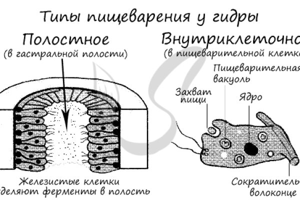 Ссылка кракен kr2web in