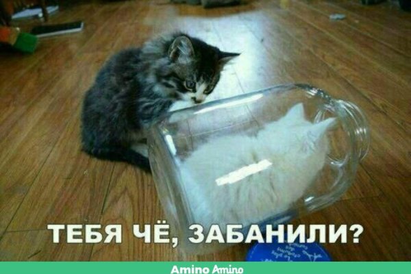Активная ссылка на кракен