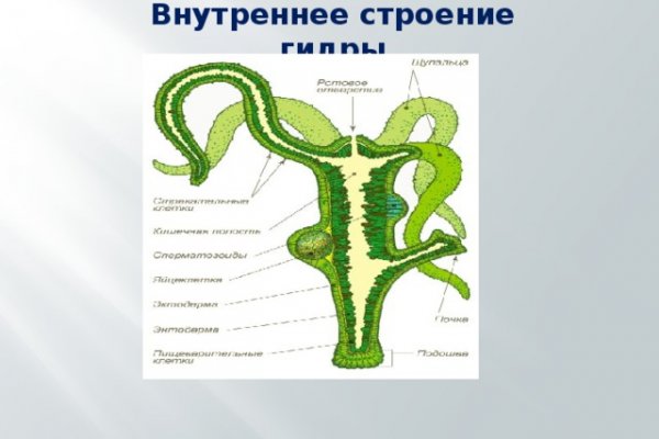 Как заказать на кракене