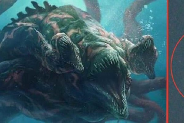 Kraken 12 at